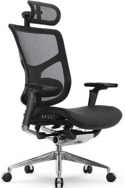 Falto Star Ergo 2