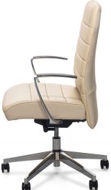 Profoffice Stripe B